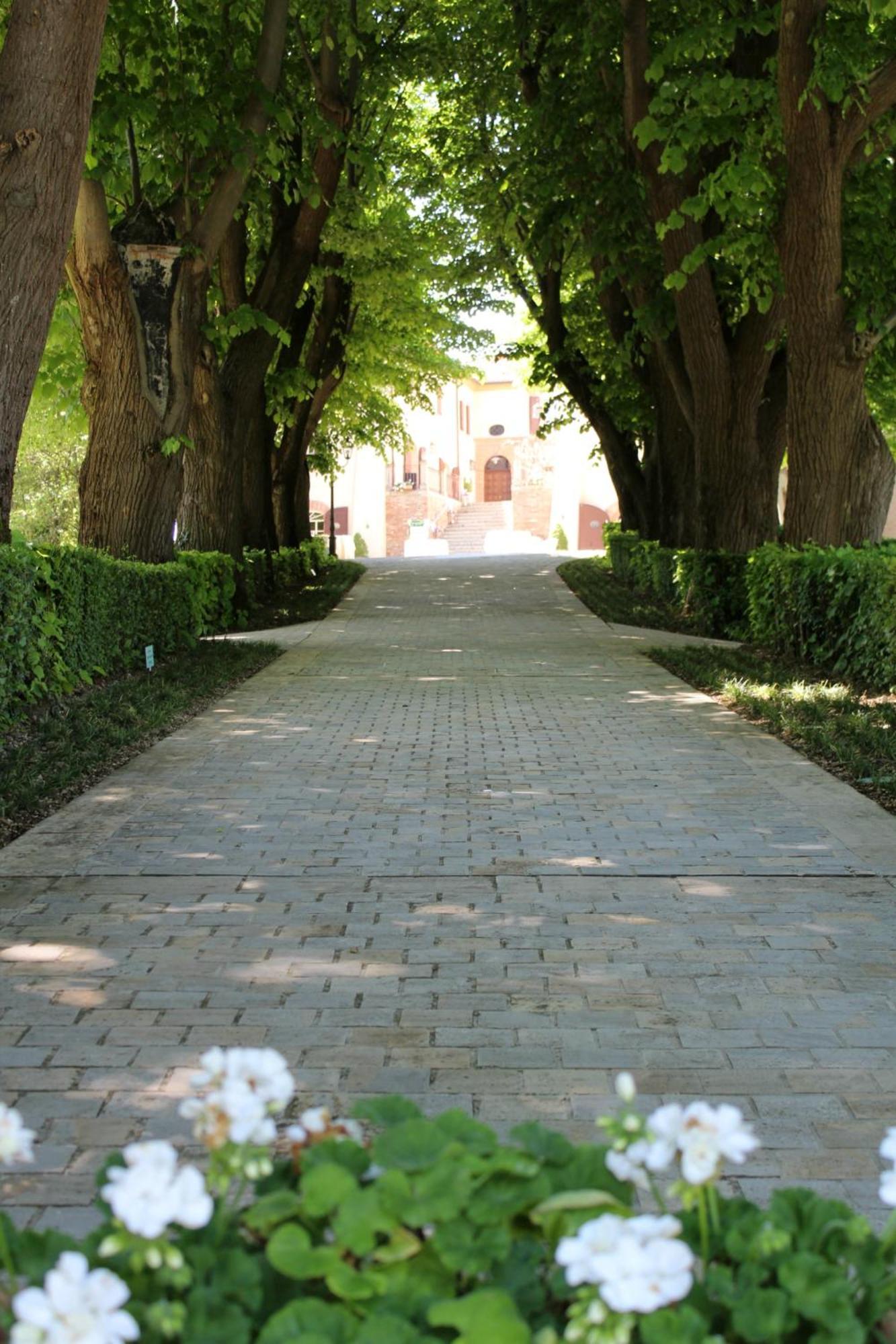 Palazzo Del Poggiano Bed & Breakfast Poggio Berni Exterior photo